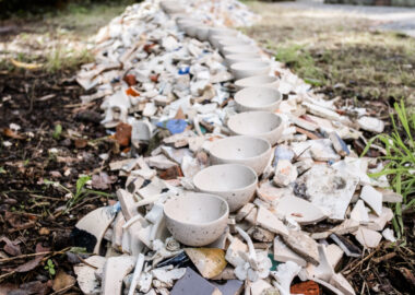 A line of small, white ceramic bowls sits on a mound of ceramic shards as part of Beyond Repair by Elspeth Owen. Displayed at the 2023 British Ceramics Biennial.